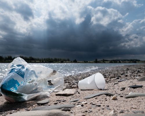 Bild zu Veranstaltung Müllsammelaktion in der Emmericher Ward