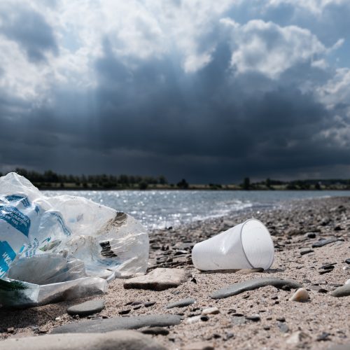 Veranstaltungsbild zu Müllsammelaktion in der Emmericher Ward 