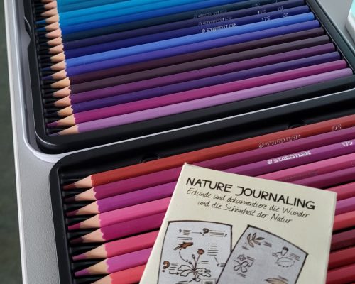 Bild zu Veranstaltung NABU-Treff im Oktober: Nature Journaling - Naturtagebuch für Anfänger