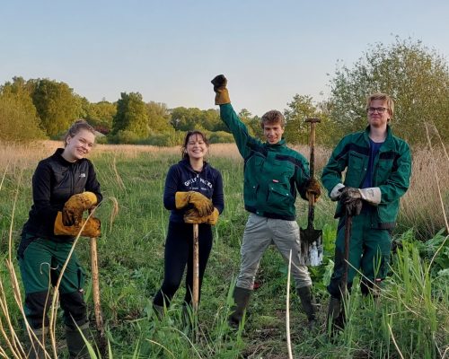 Bild zu Veranstaltung Landschaftspflege in der Hetter