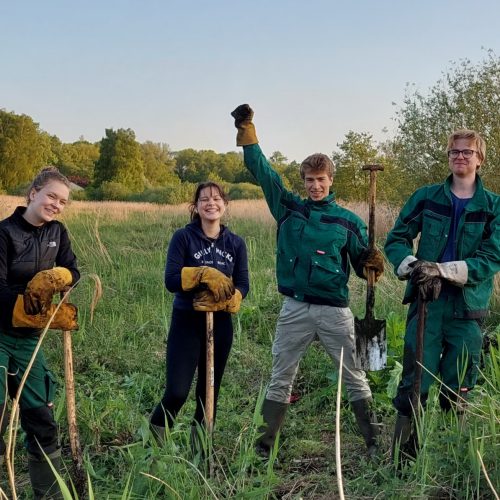 Veranstaltungsbild zu Landschaftspflege in der Hetter