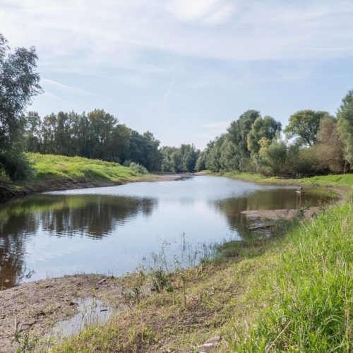 Veranstaltungsbild zu Vortrag: Leben im Rhein