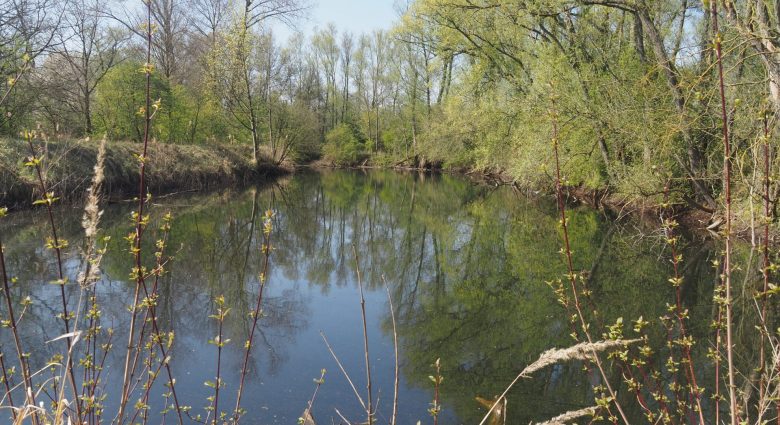 Teich in den Moeidtjes, Foto: NABU-Naturschutzstation Niederrhein