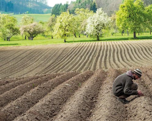 Bild zu Veranstaltung Kinovorstellung: Unser Boden, Unser Erbe