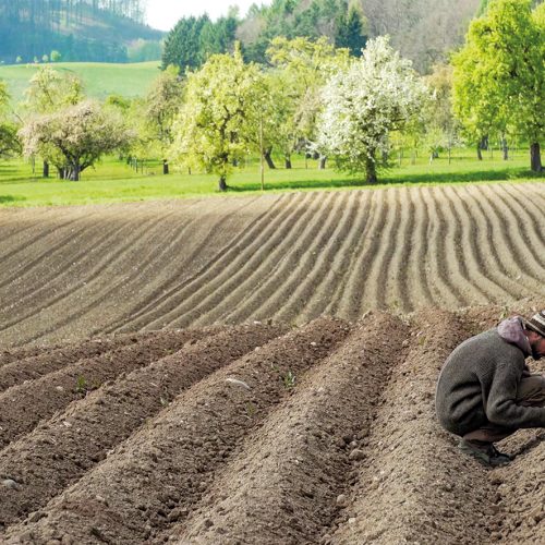 Veranstaltungsbild zu Kinovorstellung: Unser Boden, Unser Erbe