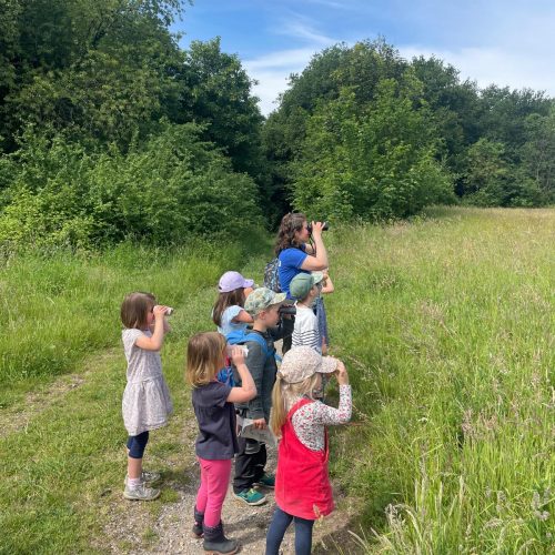 Veranstaltungsbild zu Was fliegt denn da? Vogelforscher werden