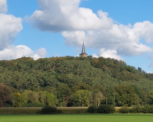 Bild zu Veranstaltung Naturkundliche Wanderung auf dem Eltenberg