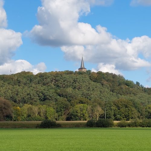 Veranstaltungsbild zu Naturkundliche Wanderung auf dem Eltenberg