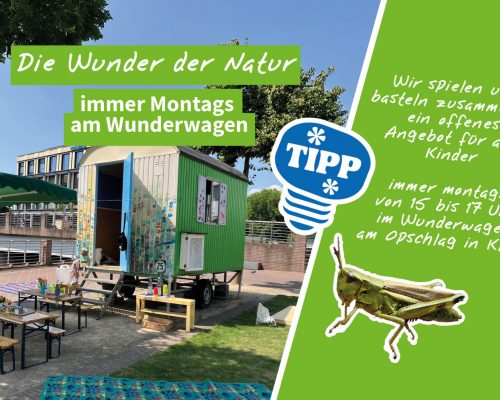 Bild zu Veranstaltung Montags am Wunderwagen