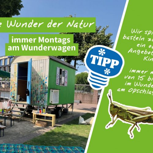 Veranstaltungsbild zu Montags am Wunderwagen