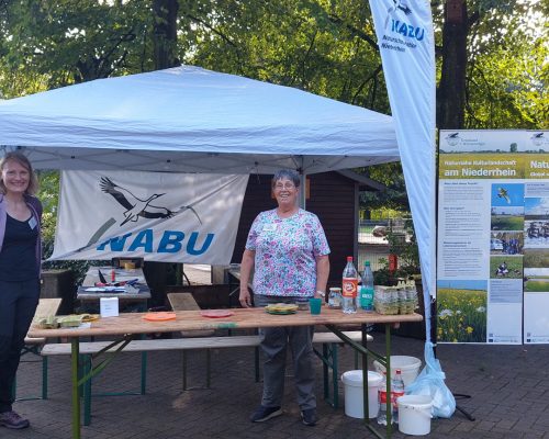Bild zu Veranstaltung Unterstützung beim Artenschutztag im Tiergarten