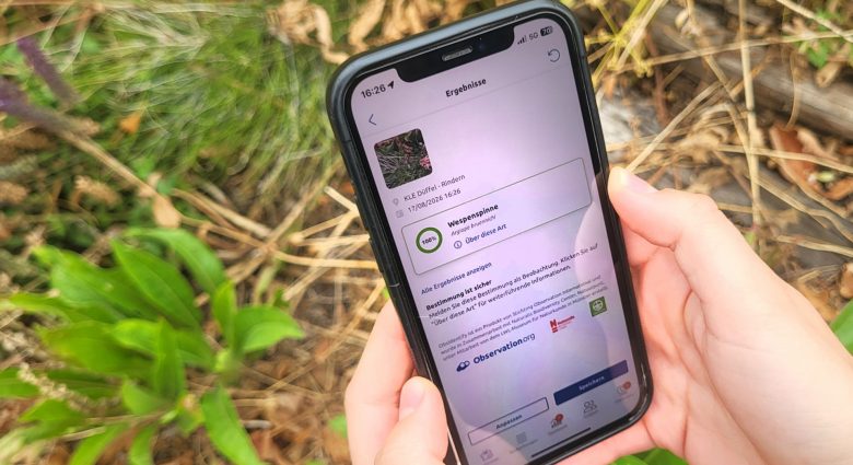 Es gibt Apps, die den Menschen auf Knopfdruck den Namen von vielen Tier- oder Pflanzenarten verraten können. Das Bild zeigt die Bestimmung mit Obsidentify.